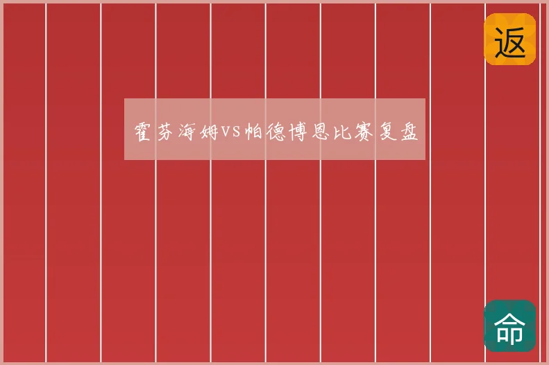 霍芬海姆vs帕德博恩比赛复盘