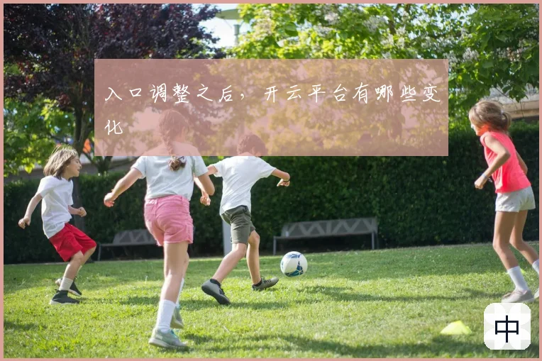 入口调整之后，开云平台有哪些变化